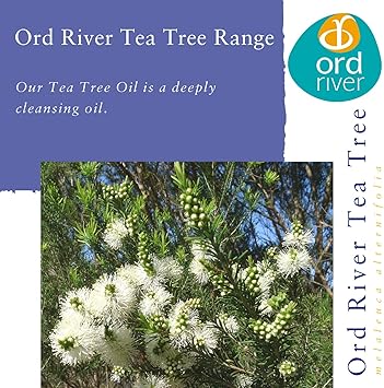 Absolute Aromas Ord River by Absolute Aromas 5 x 100g Tea Tree and Lavender Hand Soap Bars Pack of 5 Vegetable Soap with 100 Pure Tea Tree and French Lavender Essential Oil a Kind and Natural Hand Washing Soap - Image 4