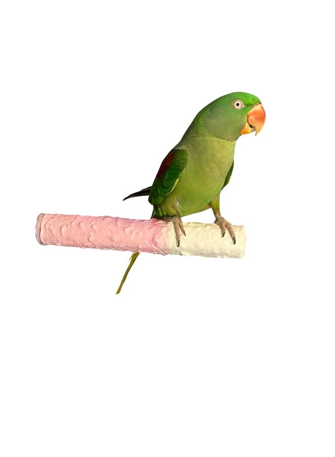 Polly's Cuttlebone & Calcium Perch Large Strawberry - Image 2