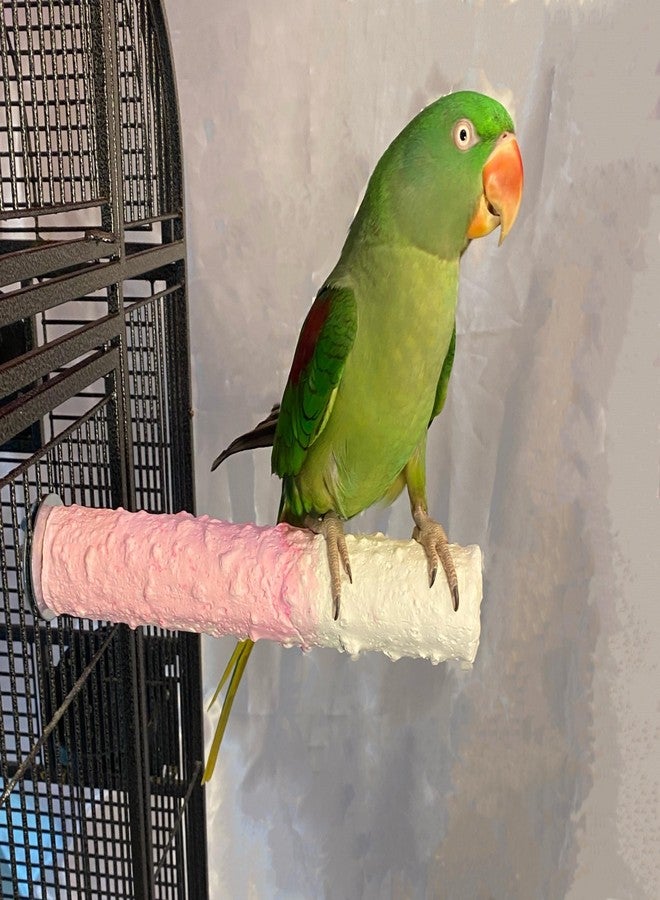 Polly's Cuttlebone & Calcium Perch Large Strawberry - Image 4