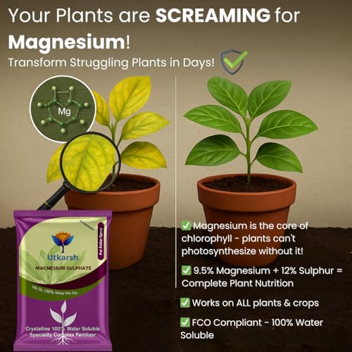 Utkarsh Epsom Salt - Magnesium Sulphate for Plants Growth and Home Garden | 100% Water Soluble Fertilizer | Enhances Photosynthesis & Nutrient Uptake (400gm; Pack of 1) - Image 2