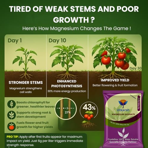 Utkarsh Epsom Salt - Magnesium Sulphate for Plants Growth and Home Garden | 100% Water Soluble Fertilizer | Enhances Photosynthesis & Nutrient Uptake (400gm; Pack of 1) - Image 4