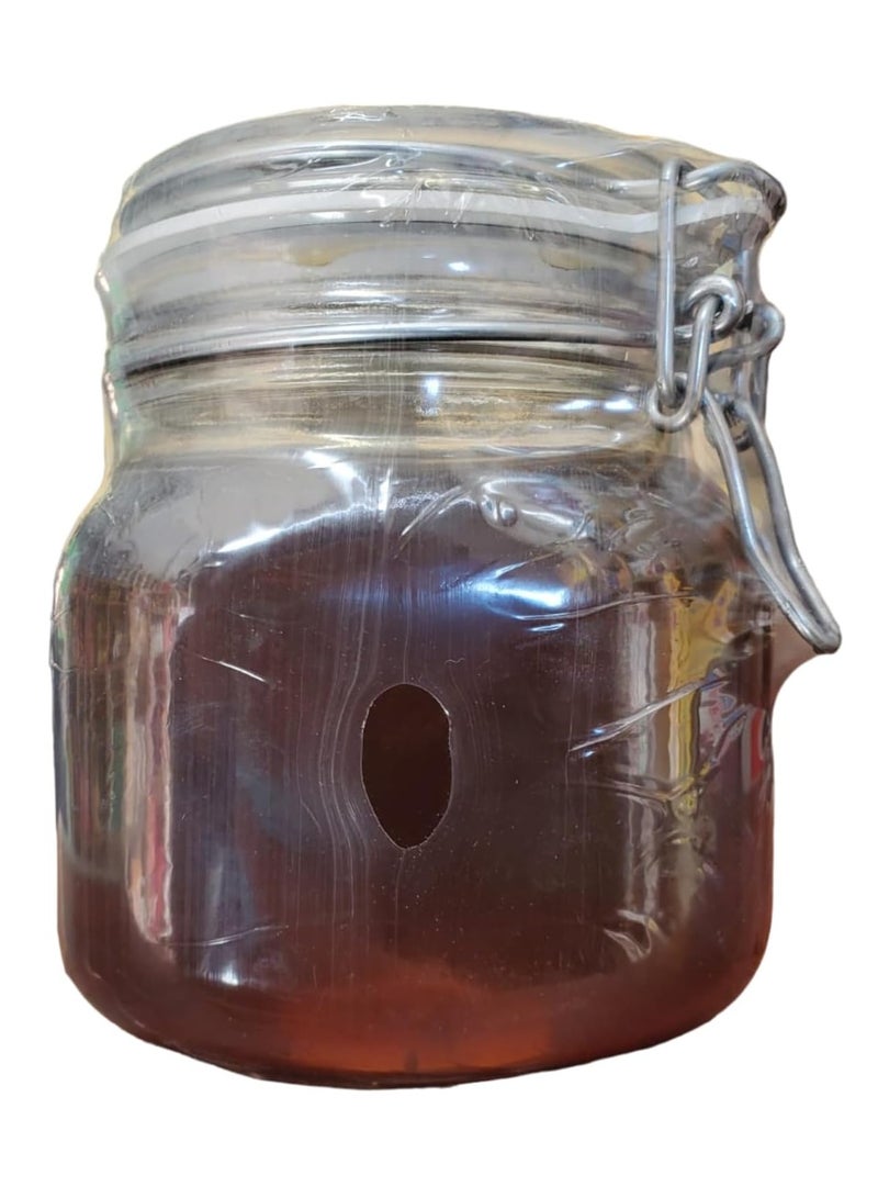 عسل سدر جبل طبيعي 100% من العسل الملكي - 1 كيلو