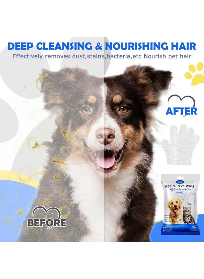 مناديل غسيل قفازات الحيوانات الأليفة للكلاب والقطط، مناديل تنظيف وتهذيب الكلاب والقطط للفرو والأقدام والأرداف، آمنة وغير مهيجة، 12 قطعة - Image 2