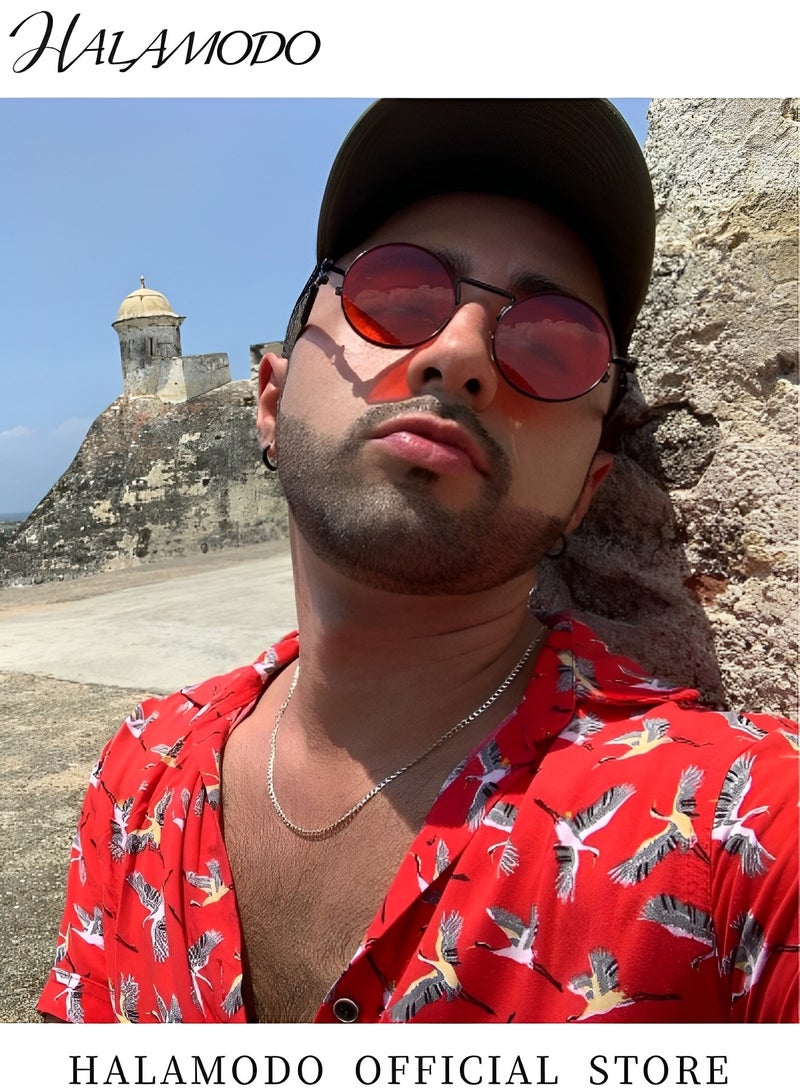 هالامودو نظارات شمسية صغيرة مستديرة بتصميم ريترو، نظارات شمسية دائرية عصرية بإطار معدني، حماية من الأشعة فوق البنفسجية 400، ظلال مستوحاة من دائرة البانك للرجال والنساء - Image 5