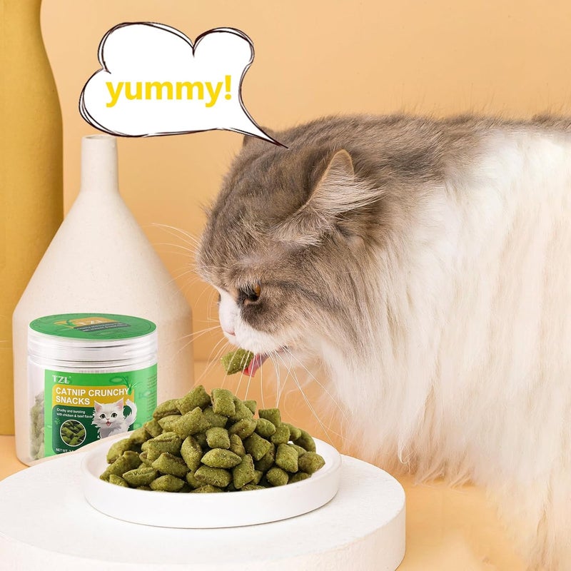TZL Long use oriented quality Catnip Chew Toy for Cats, Crunchy & Soft Texture Interactive Cat Toy for Biting and Play (100g) Global assorted color picks - Image 5