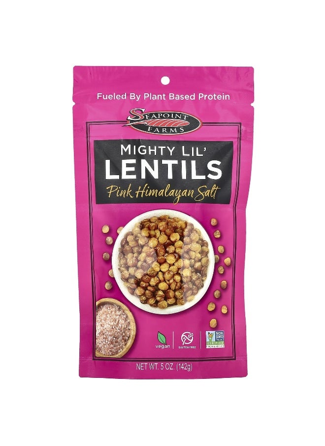 SEAPOINT FARMS Seapoint Farms, Mighty Lil' Lentils, Pink Himalayan Salt, 5 oz (142 g)  - Image 1