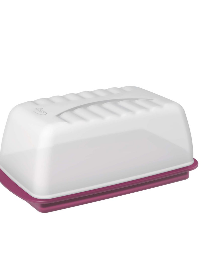 Biesse Plastic Chesse & Bread  Box Violet - Image 2