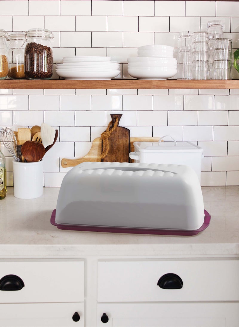 Biesse Plastic Chesse & Bread  Box Violet - Image 3