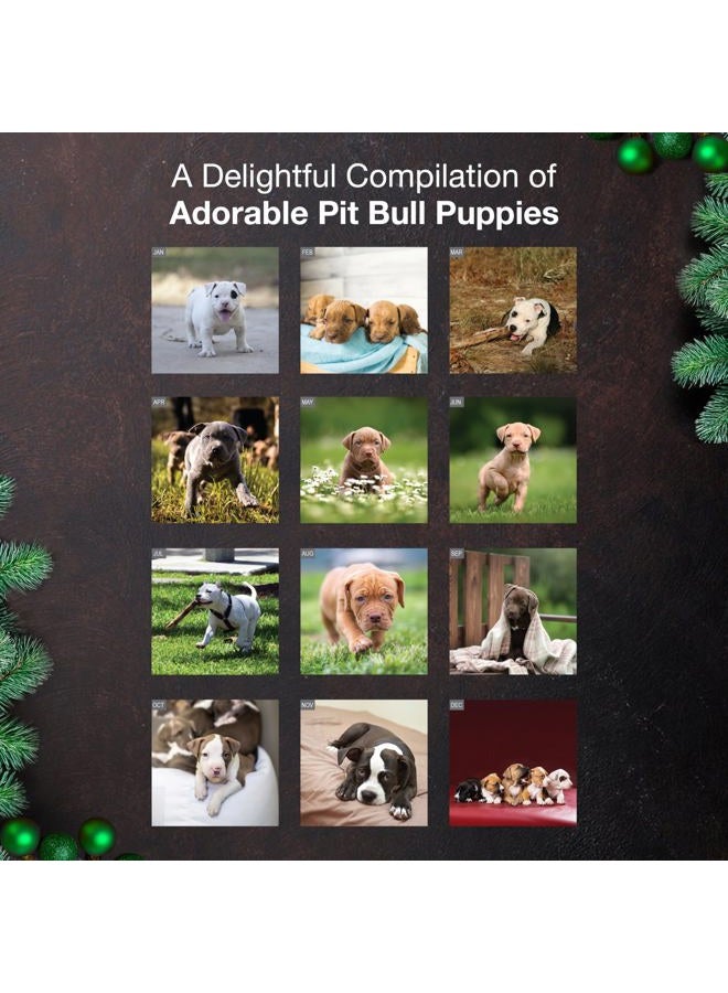 MICASA PRESS MICASA Pit Bull Puppies 2026 Wall Calendar 12 Month | 12" x 24" Open | Thick & Sturdy Paper | Giftable | Calendar 2026 - Image 3