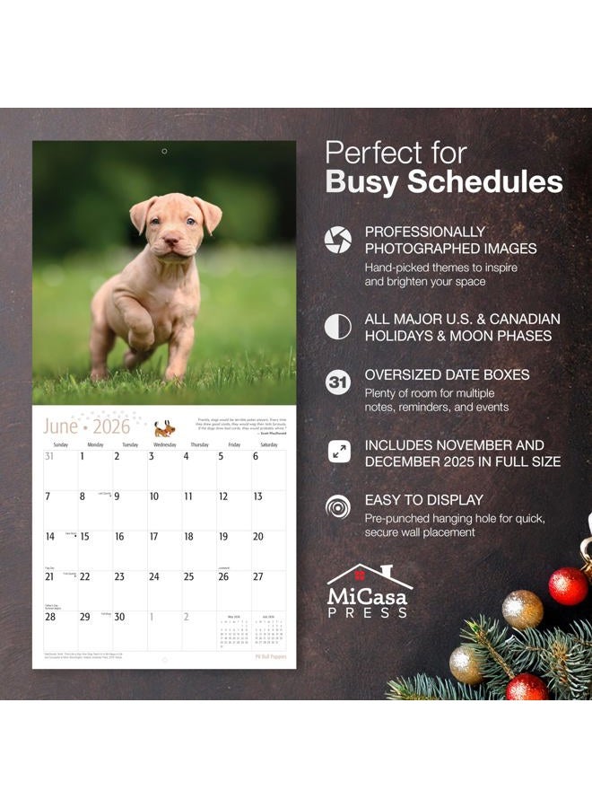 MICASA PRESS MICASA Pit Bull Puppies 2026 Wall Calendar 12 Month | 12" x 24" Open | Thick & Sturdy Paper | Giftable | Calendar 2026 - Image 2