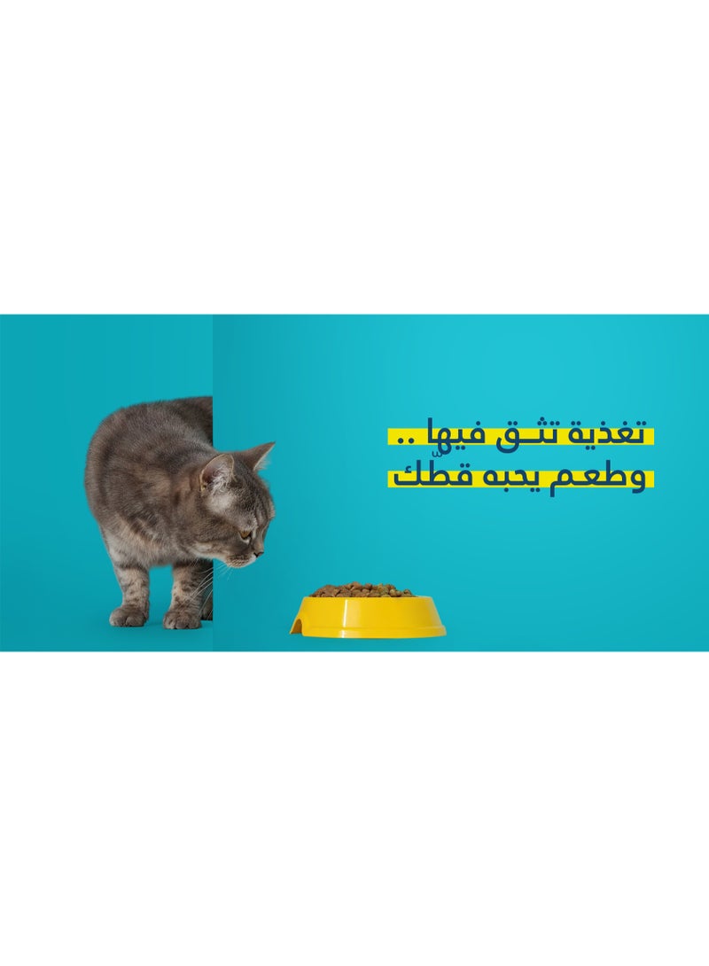 Purevet Dry Food for Adult Cats, Rich in Chicken Protein & Potatoes, 3 kg - Image 5