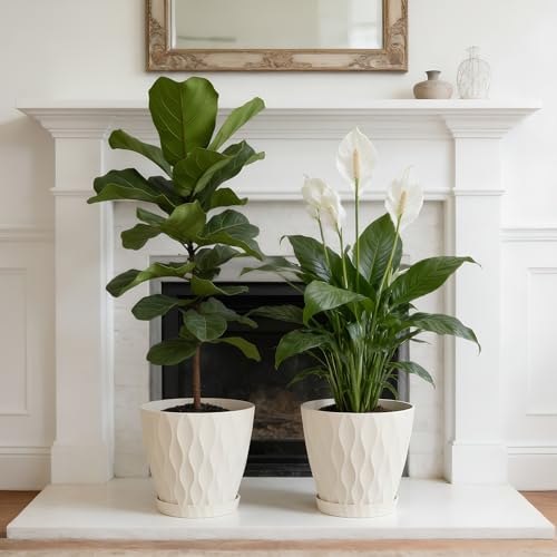 UOUZ 8 Inch Plant Pots 2 Pack Plastic Planters for Indoor Outdoor with Drainage Holes Saucers Waffle Texture Flower Pots for Indoor Plants Indoor Plant Pots for Monstera Fiddle Leaf Fig White - Image 3