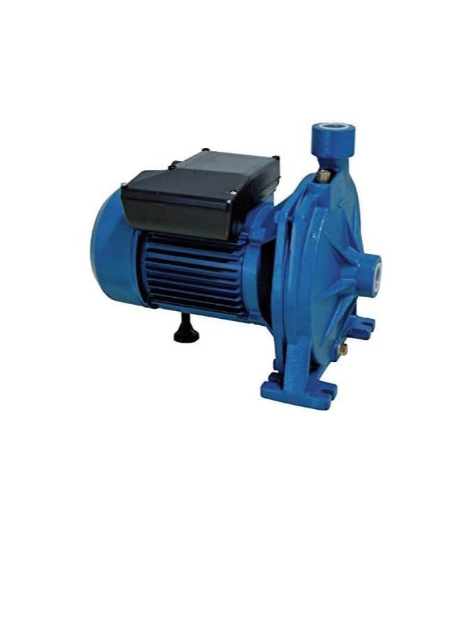Reef ITALY-ALFA Electric Water Pump (1.5 HP) – ITY-ALP05 - Image 1