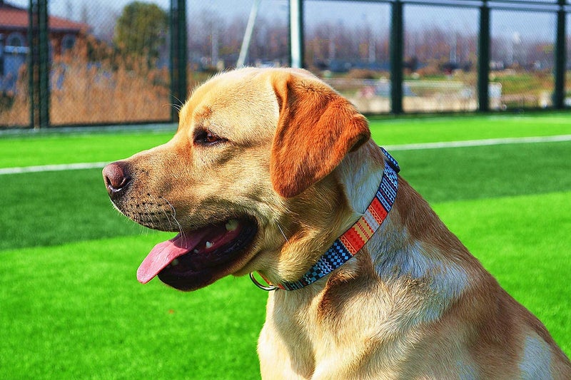 Qpets® طوق كلب بنمط بوهيمي من النايلون مع أنماط قابل للتعديل 40-60 سم طوق حيوانات أليفة ناعم ومريح حزام كلب للكلاب الصغيرة والمتوسطة والكبيرة 30-40 كجم (الحجم: L) ، متعدد الألوان - Image 5