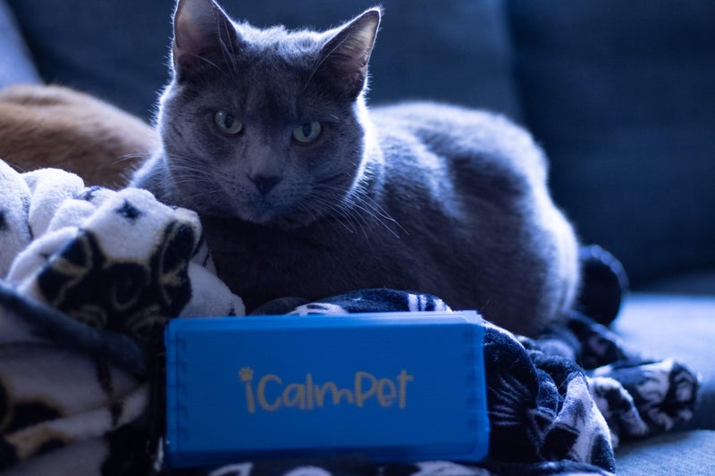 iCalmCat Cool Cat Gold Pak | iCalmPet Ruff 'n Ready Portable Speaker with 3-hr MicroSD Cat Calming Classical - Image 4
