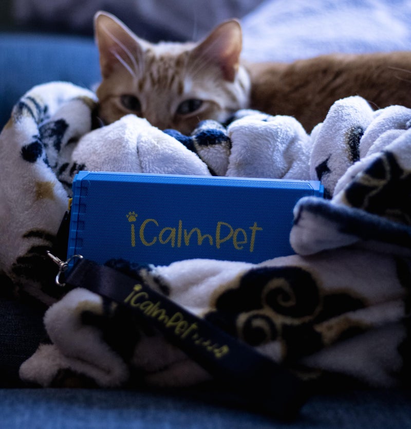 iCalmCat Cool Cat Gold Pak | iCalmPet Ruff 'n Ready Portable Speaker with 3-hr MicroSD Cat Calming Classical - Image 5