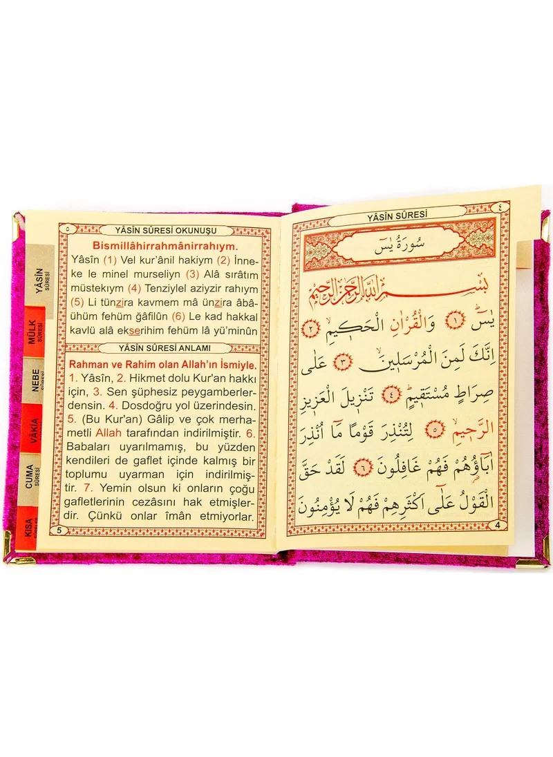 İhvan Brotherhood 10 Pieces Velvet Covered Book of Yasin - With the Words of Allah - Bag Size - Fuchsia - 1112