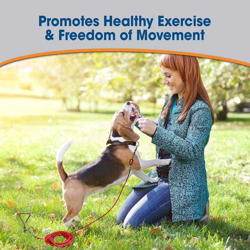 Four Paws Medium Weight Dog Tie Out Cable - Image 3