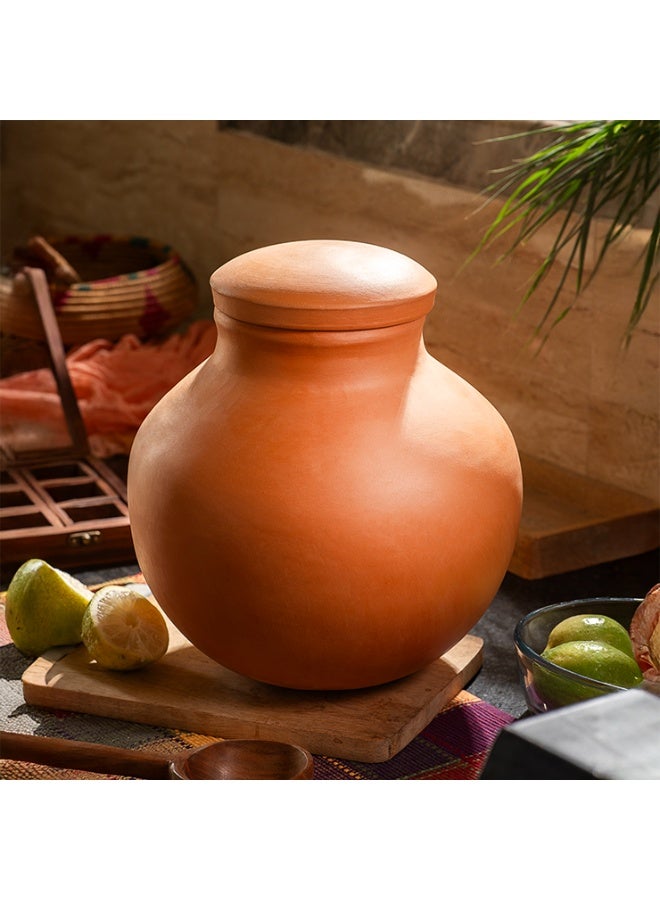 ارك موزع مياه فخاري مصنوع يدويًا من ARK مزود بصنبور وغطاء | ماتكا طينية طبيعية لمياه شرب باردة وقلوية | سعة 6 لترات - Image 5