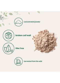 Micro Ingredients Pine Pollen Concentrate 6 oz (170g) Dietary Supplement  - Image 3