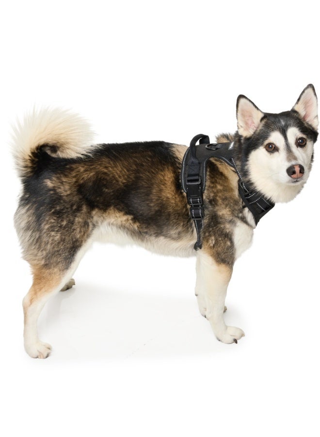 Eddie Bauer Dog chest Harness and Reflective Rope Leash - 2 meters  / From USA - Image 3