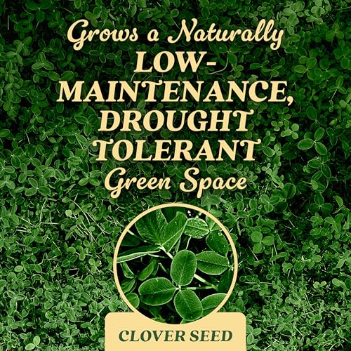 Scotts O.M. Scott and Sons Clover Seed, Lawn Seed Grows a Naturally Low Maintenance, Drought-Tolerant Lawn, 1,000 sq. ft., 2 lb. - Image 4