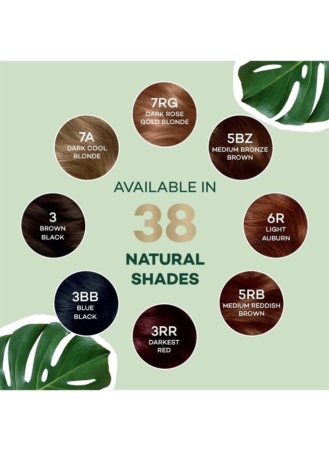 CLAIROL - Natural Instincts Semi-Permanent Hair Dye, 6.5G Lightest Golden Brown Hair Color, 3 Count - Image 1