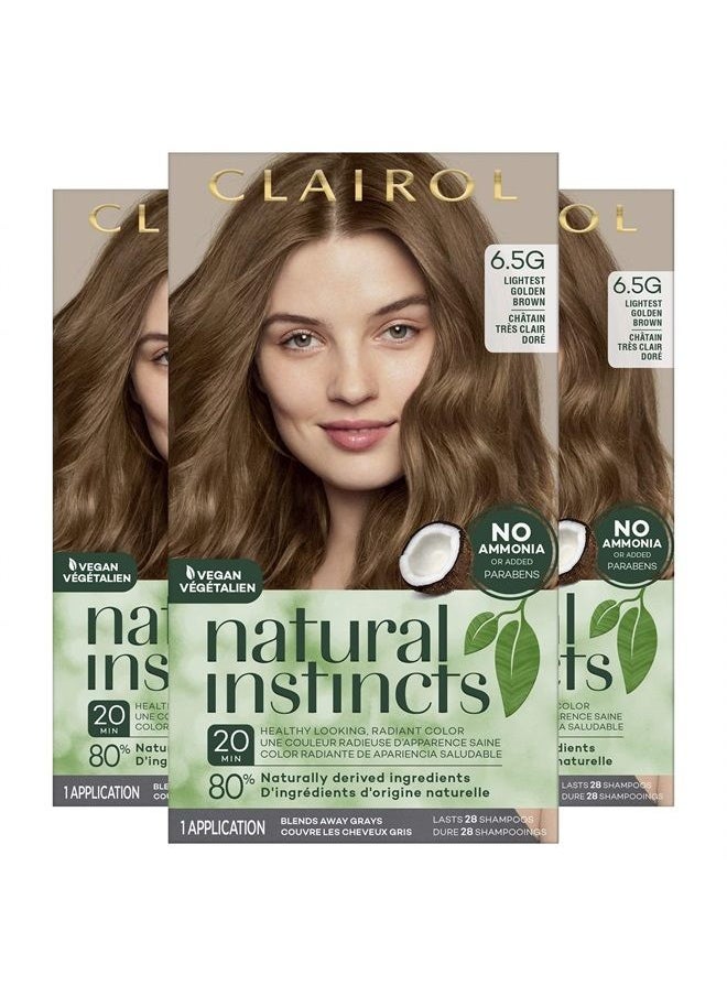 CLAIROL - Natural Instincts Semi-Permanent Hair Dye, 6.5G Lightest Golden Brown Hair Color, 3 Count - Image 1