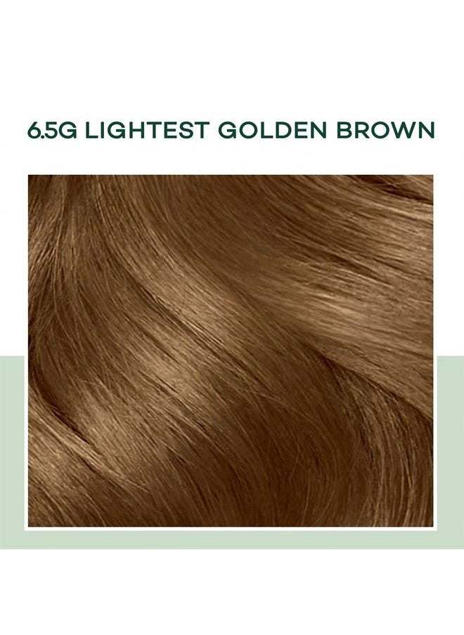 CLAIROL - Natural Instincts Semi-Permanent Hair Dye, 6.5G Lightest Golden Brown Hair Color, 3 Count - Image 1