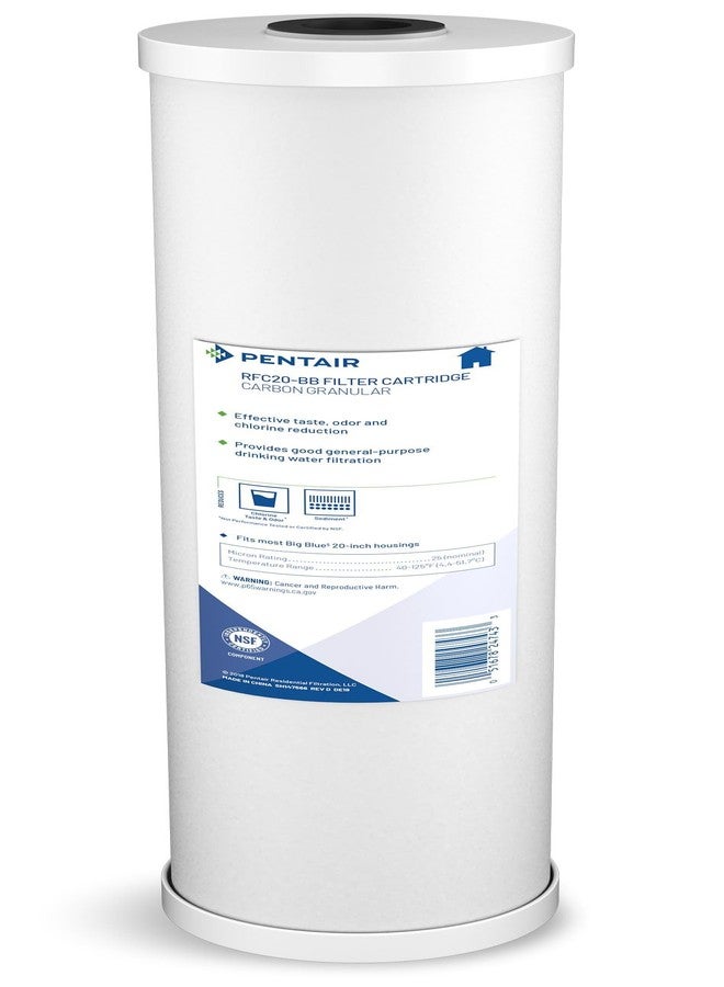 Pentek Pentair Pentek RFC-20BB Big Blue Carbon Water Filter, 20-Inch, Whole House Heavy Duty Radial Flow Carbon Replacement Cartridge with Granular Activated Carbon (GAC) Filter, 20" x 4.5", 25 Micron - Image 1