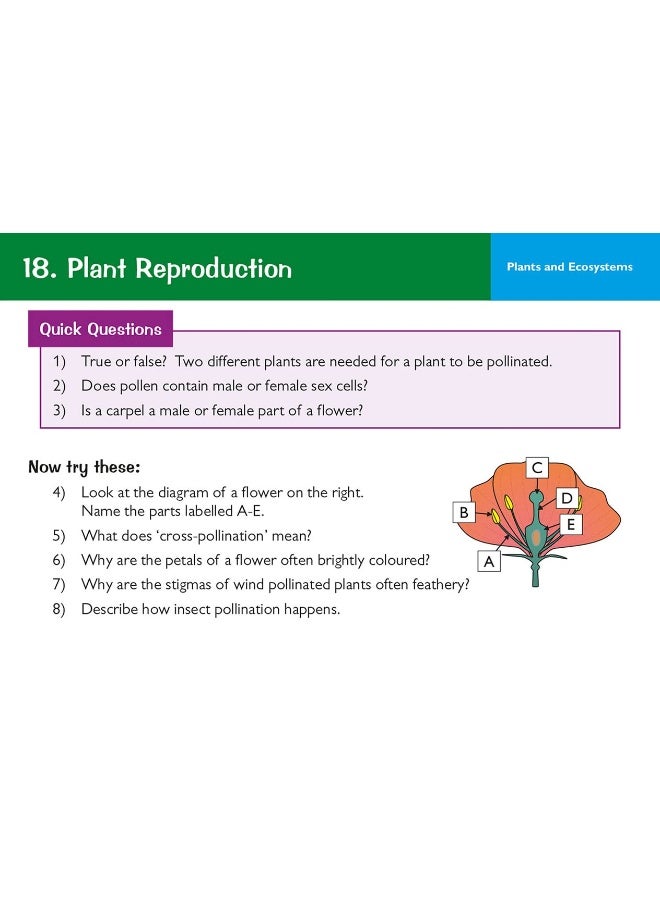 KS3 Science Revision Question Cards - Image 4