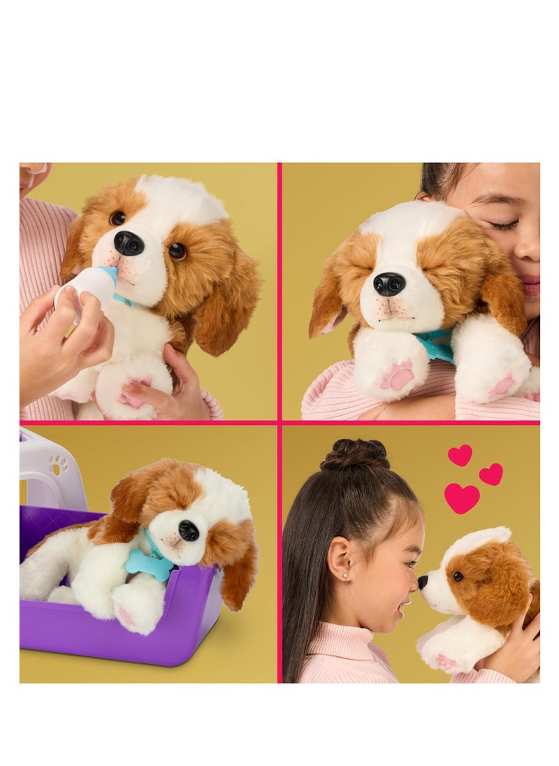 LITTLE LIVE PETS - Little Live Pets My Really Real Puppy - Patches - Image 1