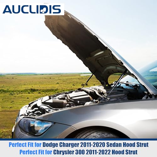 AUCLIDIS Hood Replacement Lift Support for Dodge Charger 2011-2020 Sedan Only, Chrysler 300 2011-2022, Bonnet Shock Strut Arm Damper Replace# 55113776AA, 55113777AA, 55113776AC, Set of 2 by AUCLIDIS - Image 2