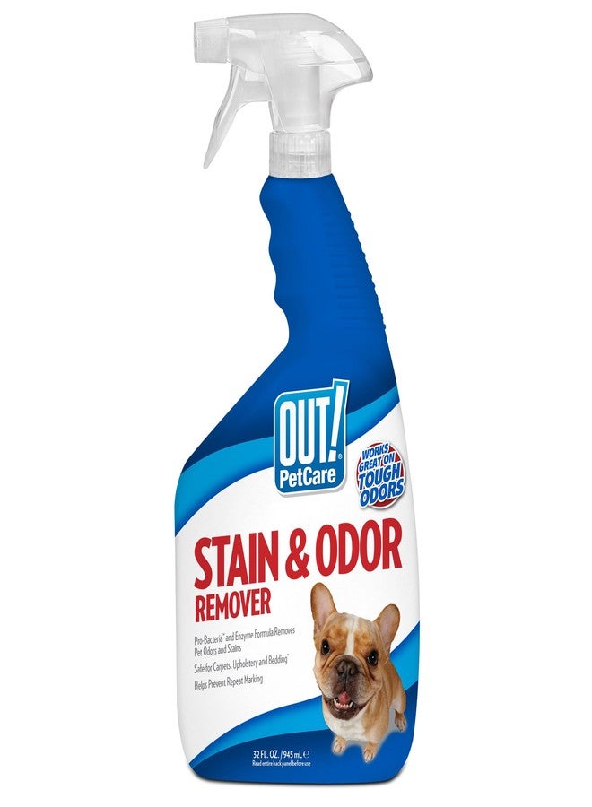 OUT! Pet Stain & Odor Remover, 32 oz, USA Made - Image 1