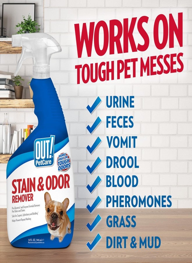 OUT! Pet Stain & Odor Remover, 32 oz, USA Made - Image 3
