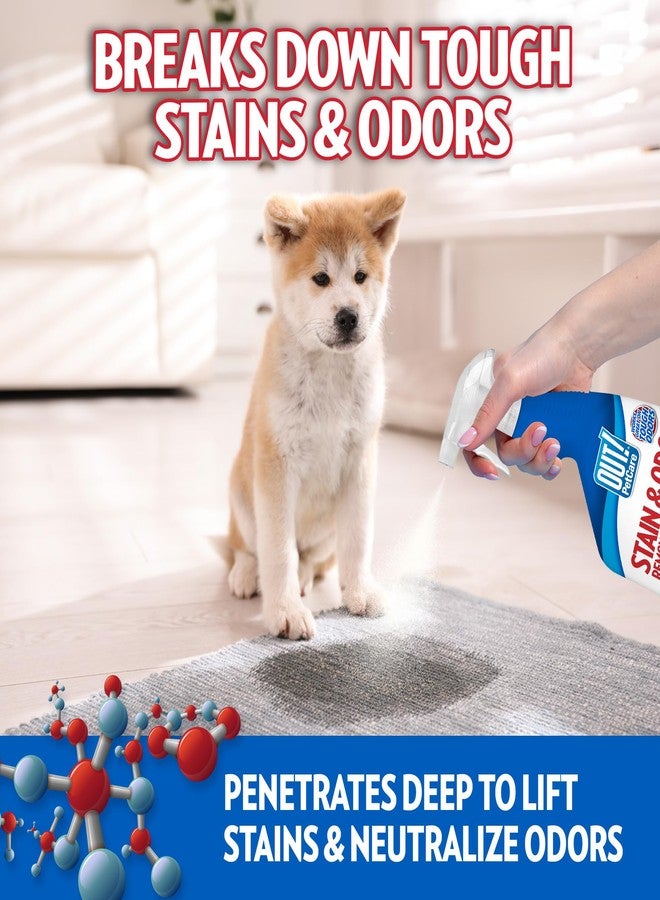 OUT! Pet Stain & Odor Remover, 32 oz, USA Made - Image 4