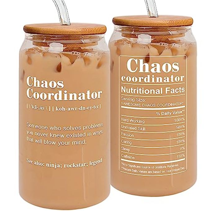 TEEBIM Thank You Gifts for Women, Boss, Coworker, Manager, Office, Teacher, Nurse, Mom - Chaos Coordinator Gifts - Boss Day Gift - Birthday Boss Lady Gift Ideas - 16 Oz Can Glass