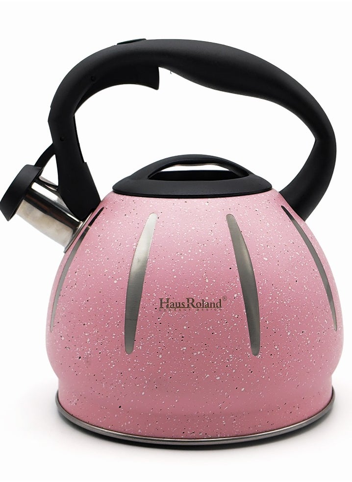 HausRoland - Stainless Steel Tea Kettle, Dotted Kettles, 3 Litres, Whistling Teapot, Stove Top, Stone Finish, Anti-Hot Handle, Anti-Rust, Loud Whistle, Fast Boiling Kitchen Utensil, Dotted Kettle with White Stripes - Image 1