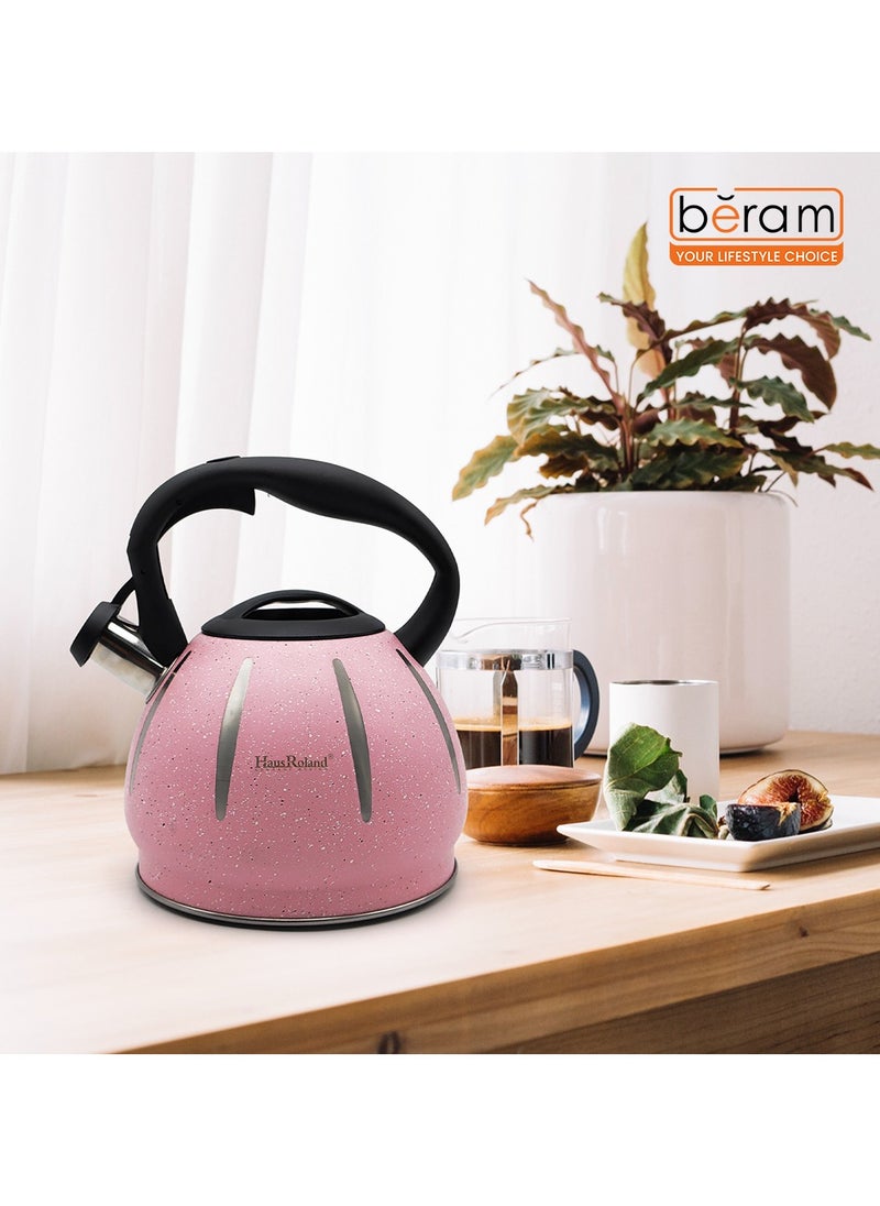 HausRoland - Stainless Steel Tea Kettle, Dotted Kettles, 3 Litres, Whistling Teapot, Stove Top, Stone Finish, Anti-Hot Handle, Anti-Rust, Loud Whistle, Fast Boiling Kitchen Utensil, Dotted Kettle with White Stripes - Image 1