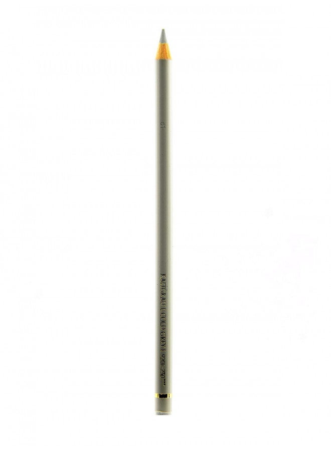 FABER-CASTELL Faber-Castell Polychromos Artists' Single Pencil - Colour 230 Cold Grey I