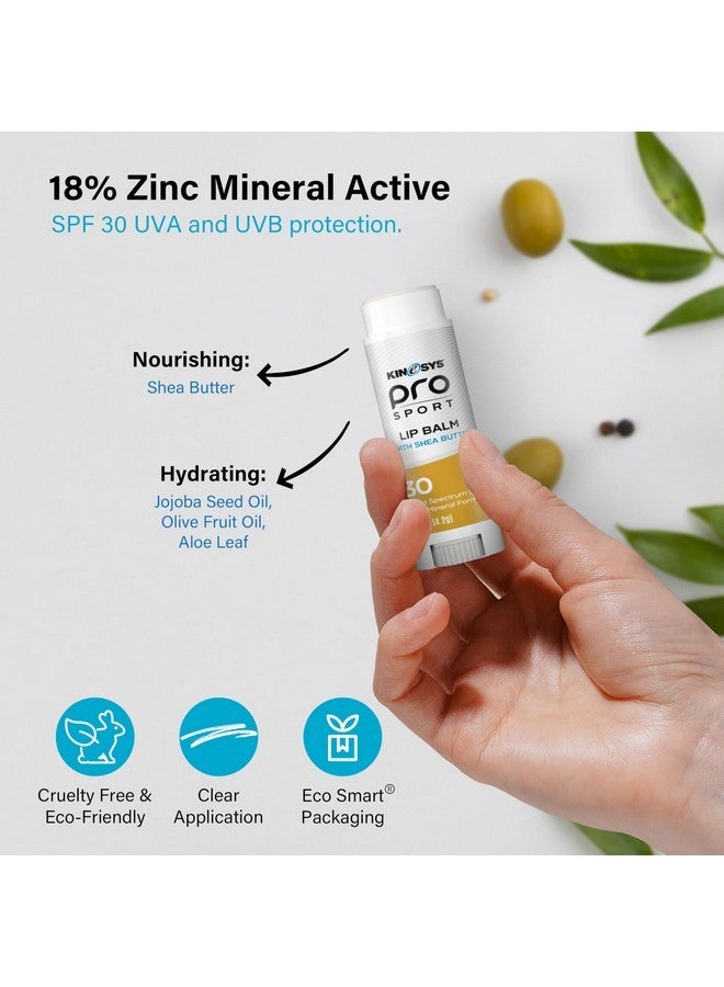 كينيس مرطب شفاه KINeSYS Pro Sport بزبدة الشيا، بعامل حماية من الشمس SPF30 واسع الطيف، عناية مرطبة للشفاه للأنشطة الخارجية، مقاوم للماء ويحمي من الأشعة فوق البنفسجية UVA/UVB، لمسة نهائية شفافة غير لامعة (عبوة من قطعتين، 0.15 أونصة لكل منهما) - Image 4