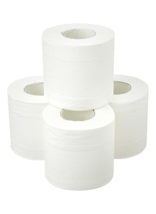 Multi-Purpose Toilet Roll Tissue - 2 Ply 400 Sheets Roll of 10 - pzsku/Z2E88736D1B5FC799B393Z/45/_/1657552948/2f2357d8-debb-4af0-8fb4-67cdc307a8e0