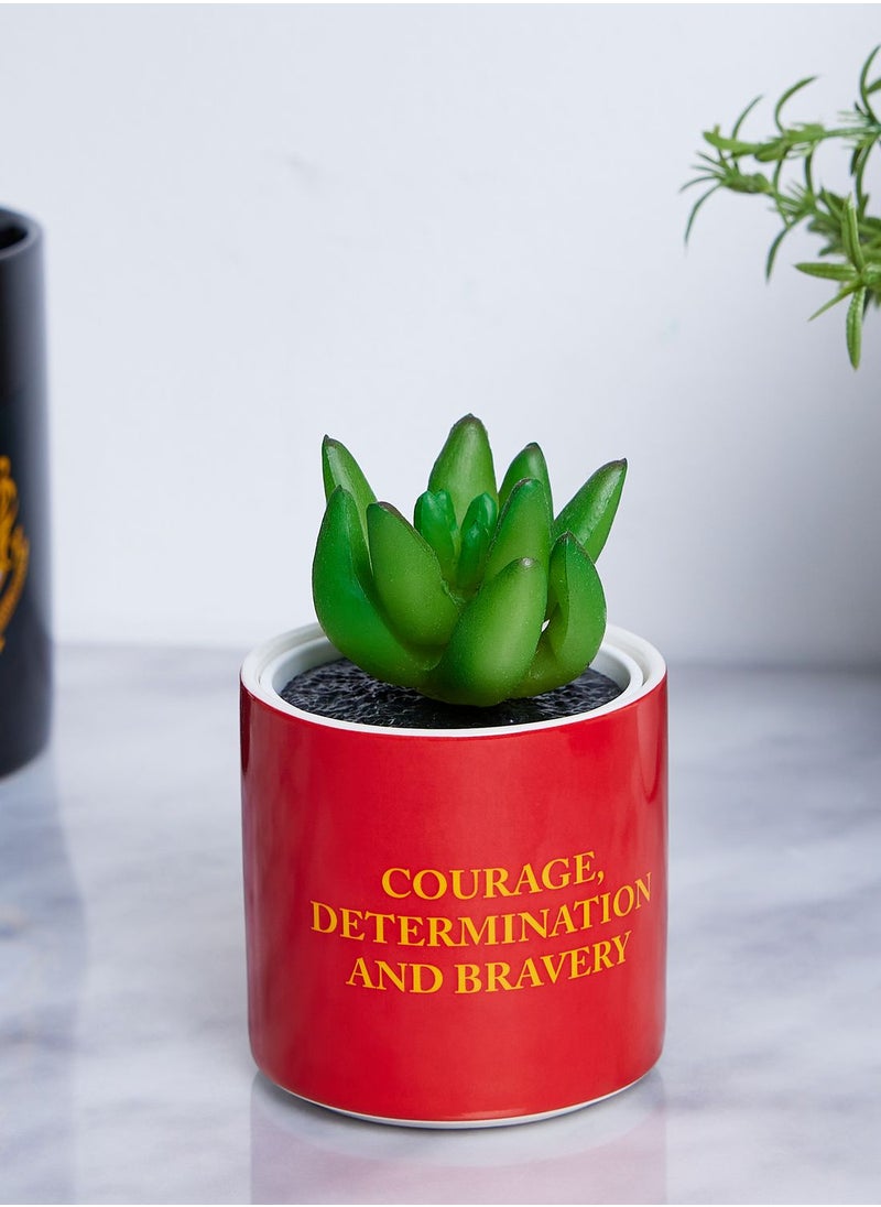 Harry Potter Gryffindor Plant Pot Faux 6.5Cm - pzsku/Z2E8876BC11D0230D21DDZ/45/_/1698975250/625e1c6d-b90d-4fe1-ba88-d862c661bf34