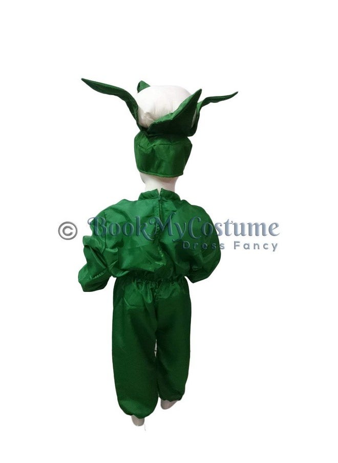 بوك ماي كوستيوم زي تنكري للأطفال من BookMyCostume مصنوع من القرنبيط والفول والخضار، مناسب للأطفال من عمر سنتين إلى ثلاث سنوات  - Image 3
