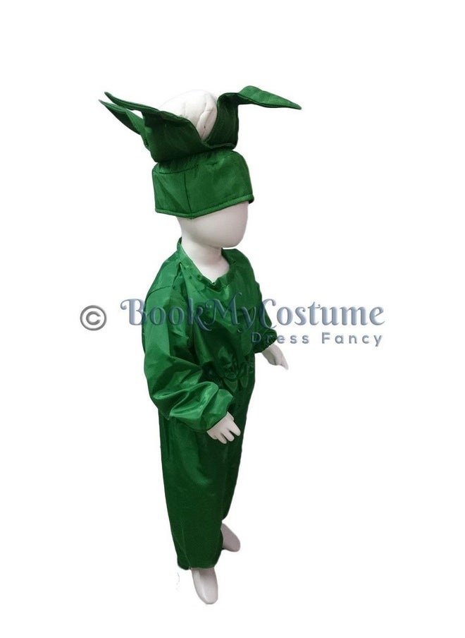 بوك ماي كوستيوم زي تنكري للأطفال من BookMyCostume مصنوع من القرنبيط والفول والخضار، مناسب للأطفال من عمر سنتين إلى ثلاث سنوات  - Image 2