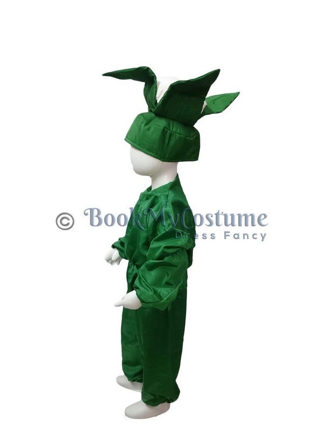 بوك ماي كوستيوم زي تنكري للأطفال من BookMyCostume مصنوع من القرنبيط والفول والخضار، مناسب للأطفال من عمر سنتين إلى ثلاث سنوات  - Image 4