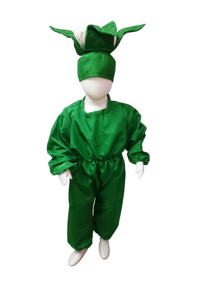 بوك ماي كوستيوم زي تنكري للأطفال من BookMyCostume مصنوع من القرنبيط والفول والخضار، مناسب للأطفال من عمر سنتين إلى ثلاث سنوات  - Image 1