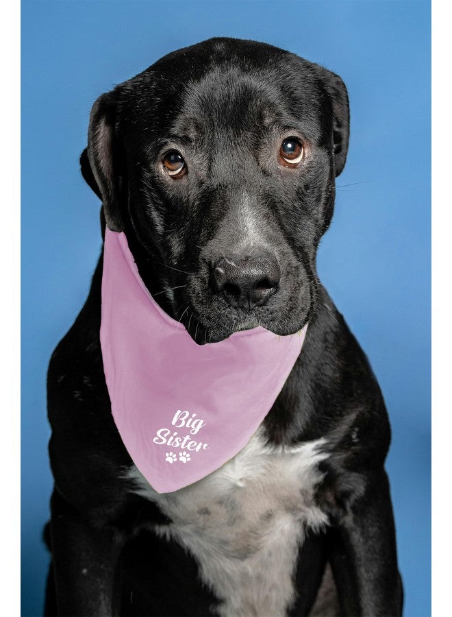 وشاح عيد ميلاد الأخت الكبرى للكلب، لوازم عيد ميلاد الأخت الكبرى للكلب، للحيوانات الأليفة الكبيرة، بوليستر، 80 × 40 - Image 5