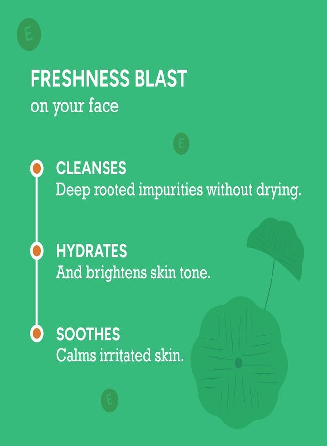 CITTA Cica Gentle Face Cleanser - Brightening, Non-Drying Face Wash for Dry, Sensitive & Combination Skin - With Jojoba Oil, Vitamin E & Argan Oil - Gentle & Hydrating - For Men & Women - 100ml - Image 2