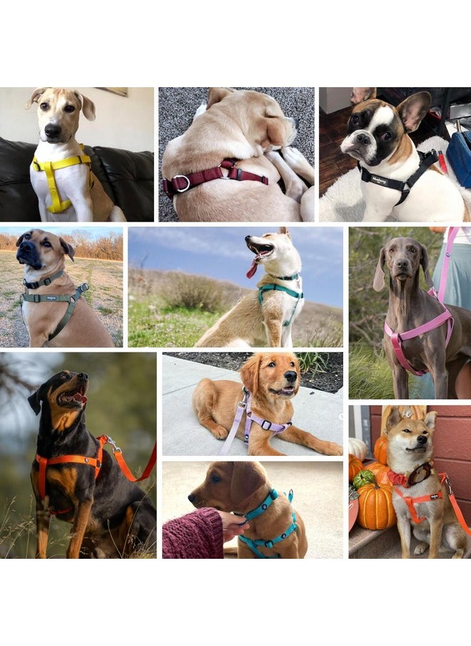 Blueberry Pet Blueberry Pet Essentials Matching Large Dog Harness | Adjustable Classic Solid Nylon No Pull Harness for Dogs | Easy Walk Dog Harness for Large Dogs & Step in Dog Harness | Military Green Dog Harness  - Image 3